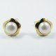 PENDIENTES ORO AMARILLO PERLA
