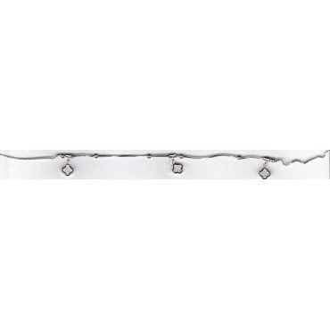 TOBILLERA PLATA                                                       